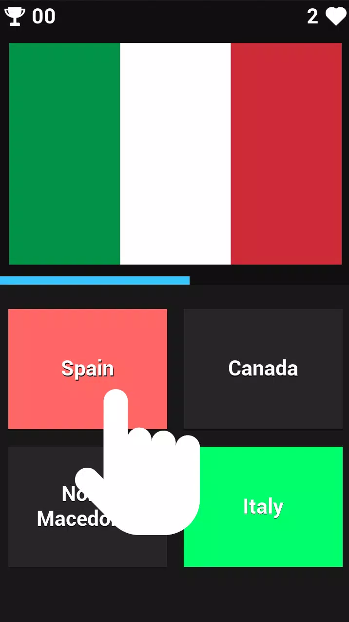 FLAG GUESSER Capture d'écran 1