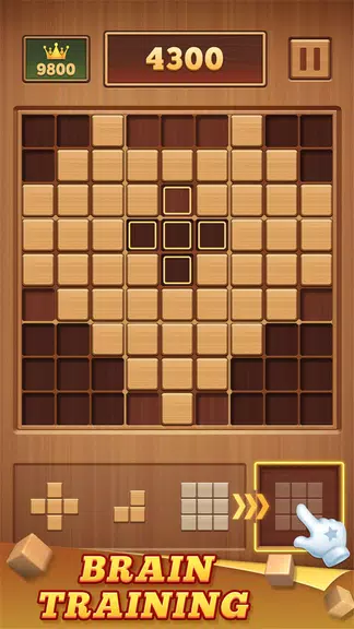 Wood Block 99 - Sudoku Puzzle Capture d'écran 1
