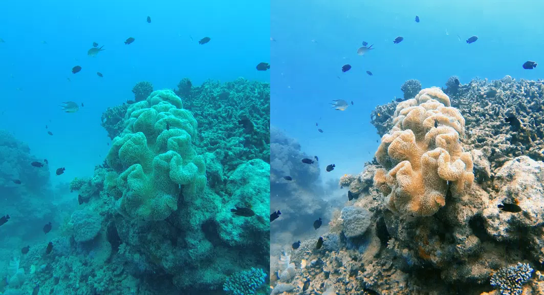 UwEdit - Diving footage editor 螢幕截圖 2