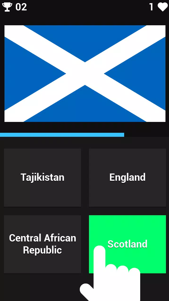 FLAG GUESSER Capture d'écran 0