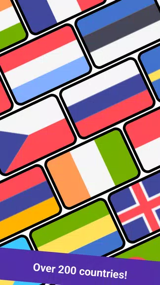 Geomi — Flags & Countries 螢幕截圖 1
