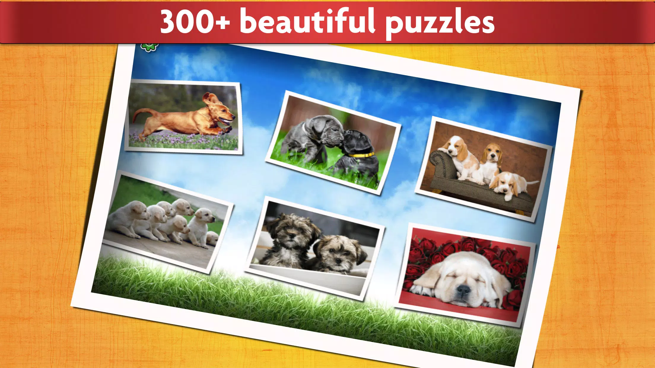 Puzzle Games Dogs Jigsaw ภาพหน้าจอ 1