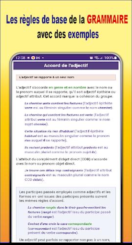 Grammaire Français + Exercices 螢幕截圖 2