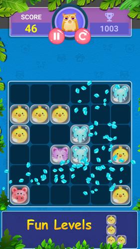Block Game Puzzle of Pet World Capture d'écran 1