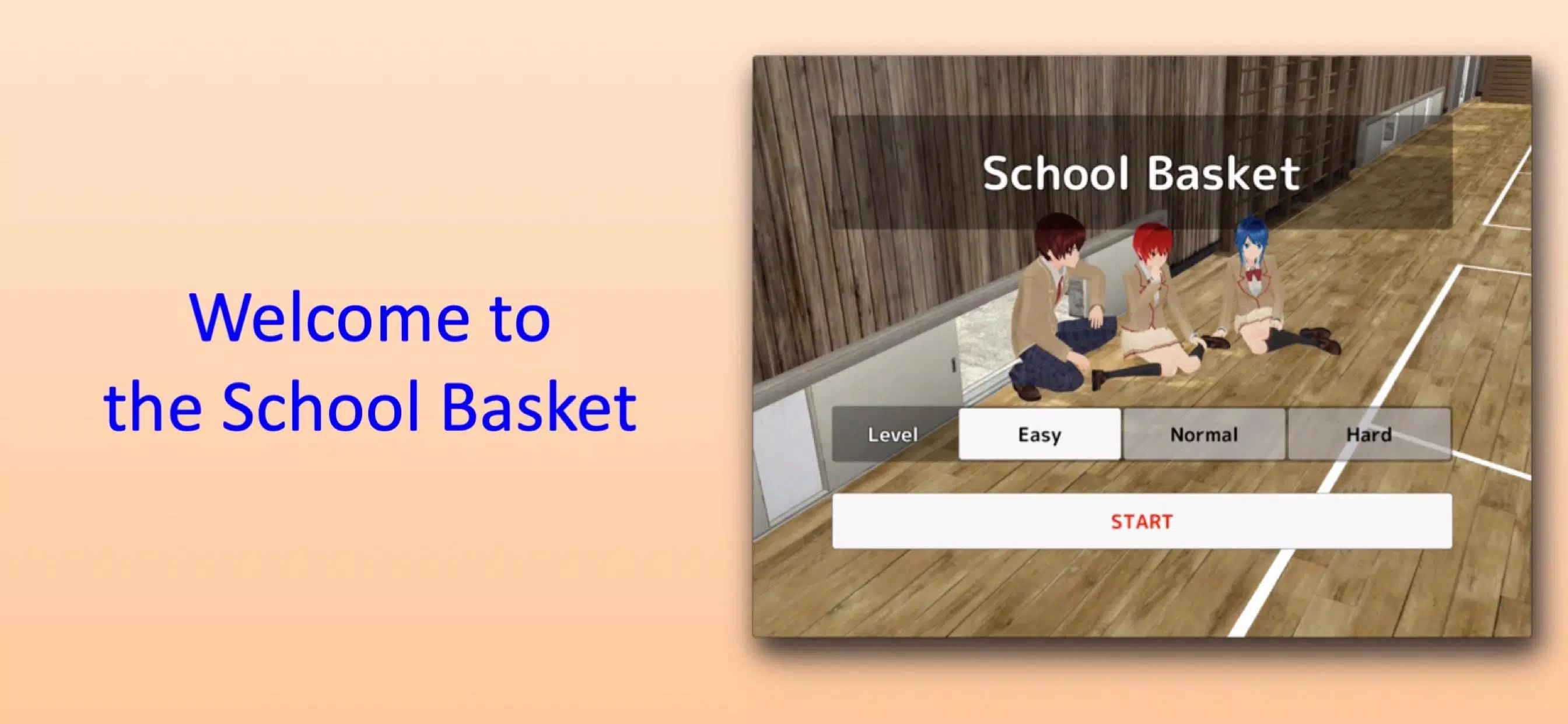 School Basket 螢幕截圖 0