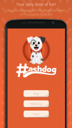 Hashdog - Dog's social network Ảnh chụp màn hình 0