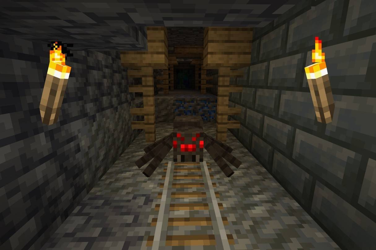 蜘蛛和洞穴蜘蛛