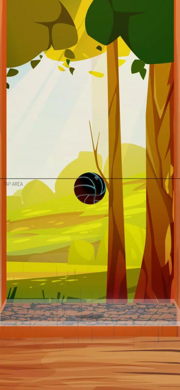 Dirs Dirs Ball 螢幕截圖 1