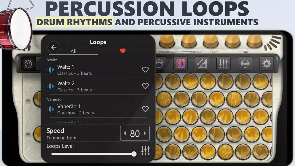 Accordion Chromatic Master Capture d'écran 2