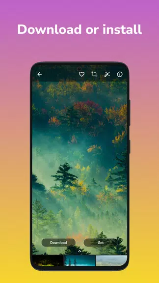 Wallpapers 4K, HD Backgrounds Capture d'écran 3