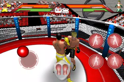 Virtual Boxing スクリーンショット 0
