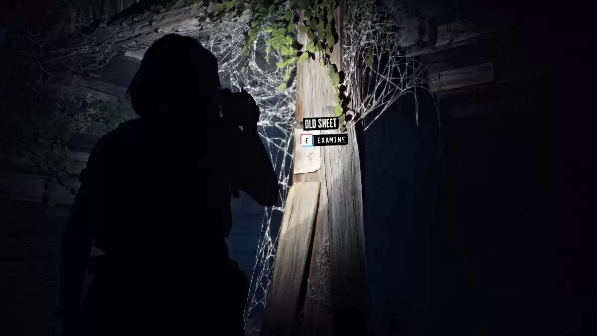 失落的唱片中的小屋挂锁盛开和愤怒