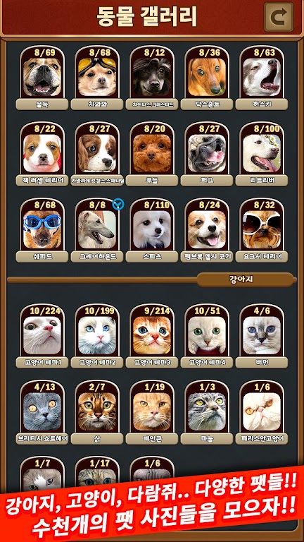 애니멀 맞고 - 동물 팻 고스톱 螢幕截圖 3
