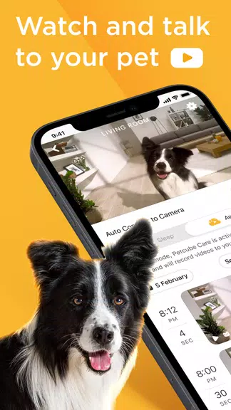 Petcube ဖန်သားပြင်ဓာတ်ပုံ 0