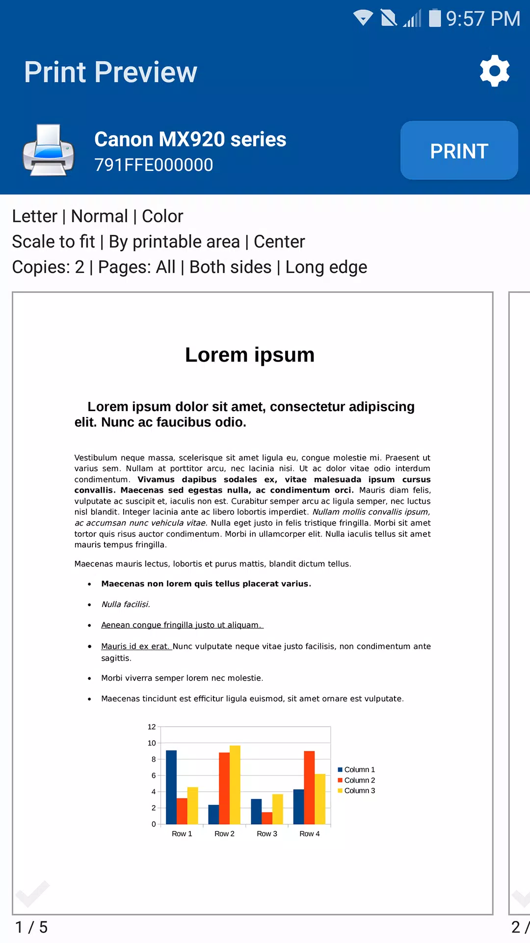 NokoPrint Ekran Görüntüsü 2
