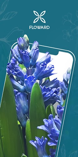 Floward Online Flowers & Gifts 螢幕截圖 0