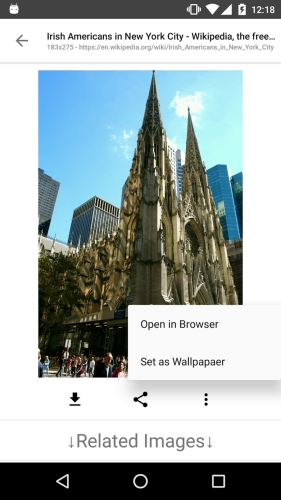 ImageSearchMan – Image Search स्क्रीनशॉट 2