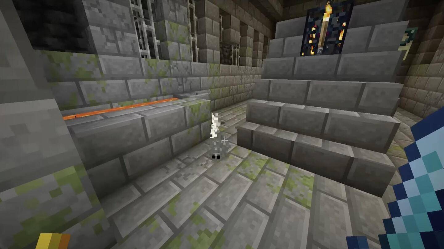 Silverfish Setholdhold Minecraft