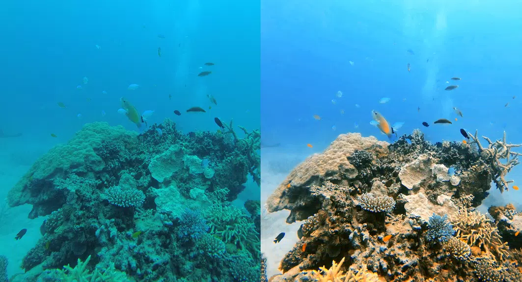 UwEdit - Diving footage editor 螢幕截圖 0