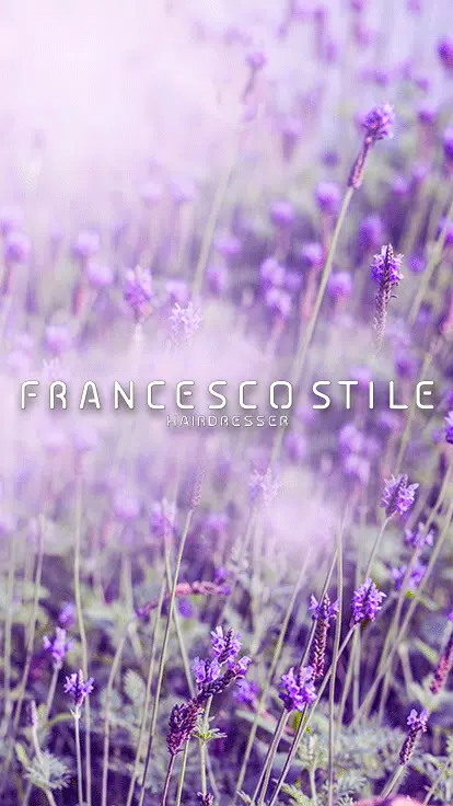 Francesco Stile Ảnh chụp màn hình 0