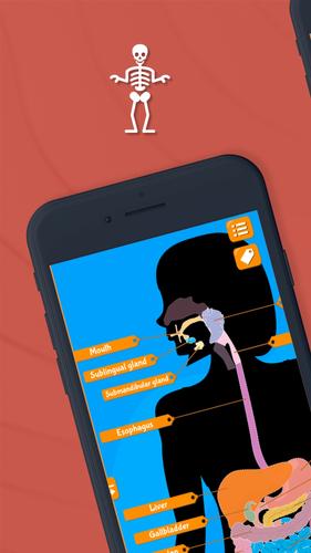 Human Anatomy - Body parts 螢幕截圖 1