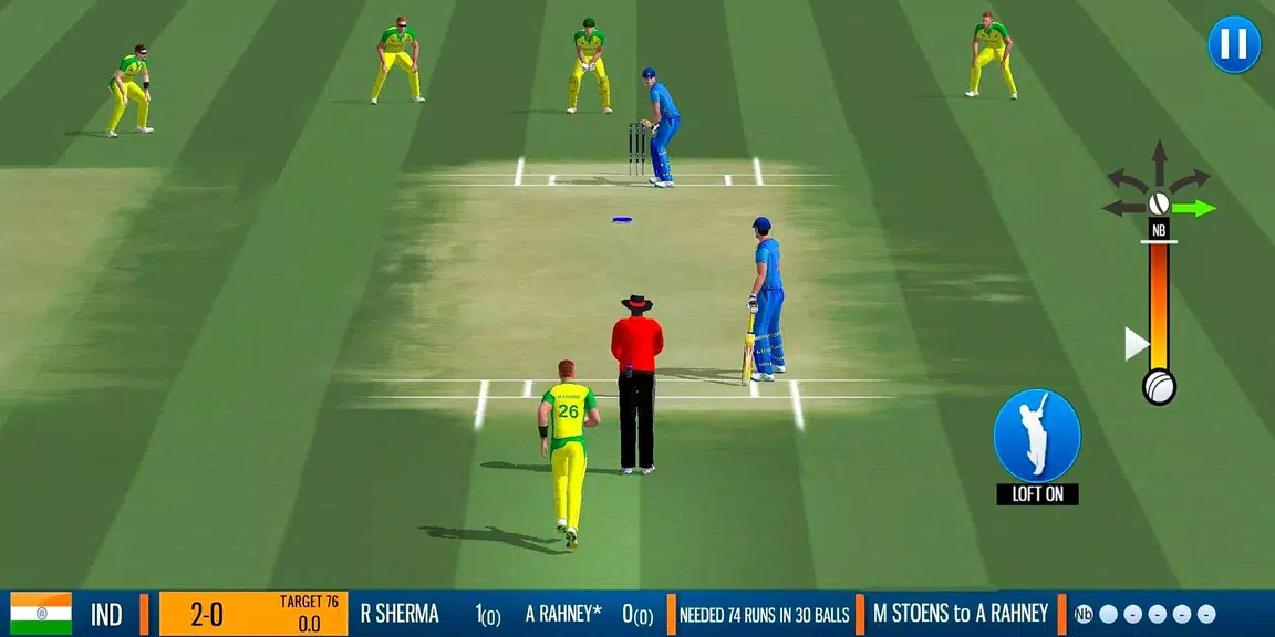 WCB2 Play My Career Cricket Capture d'écran 0