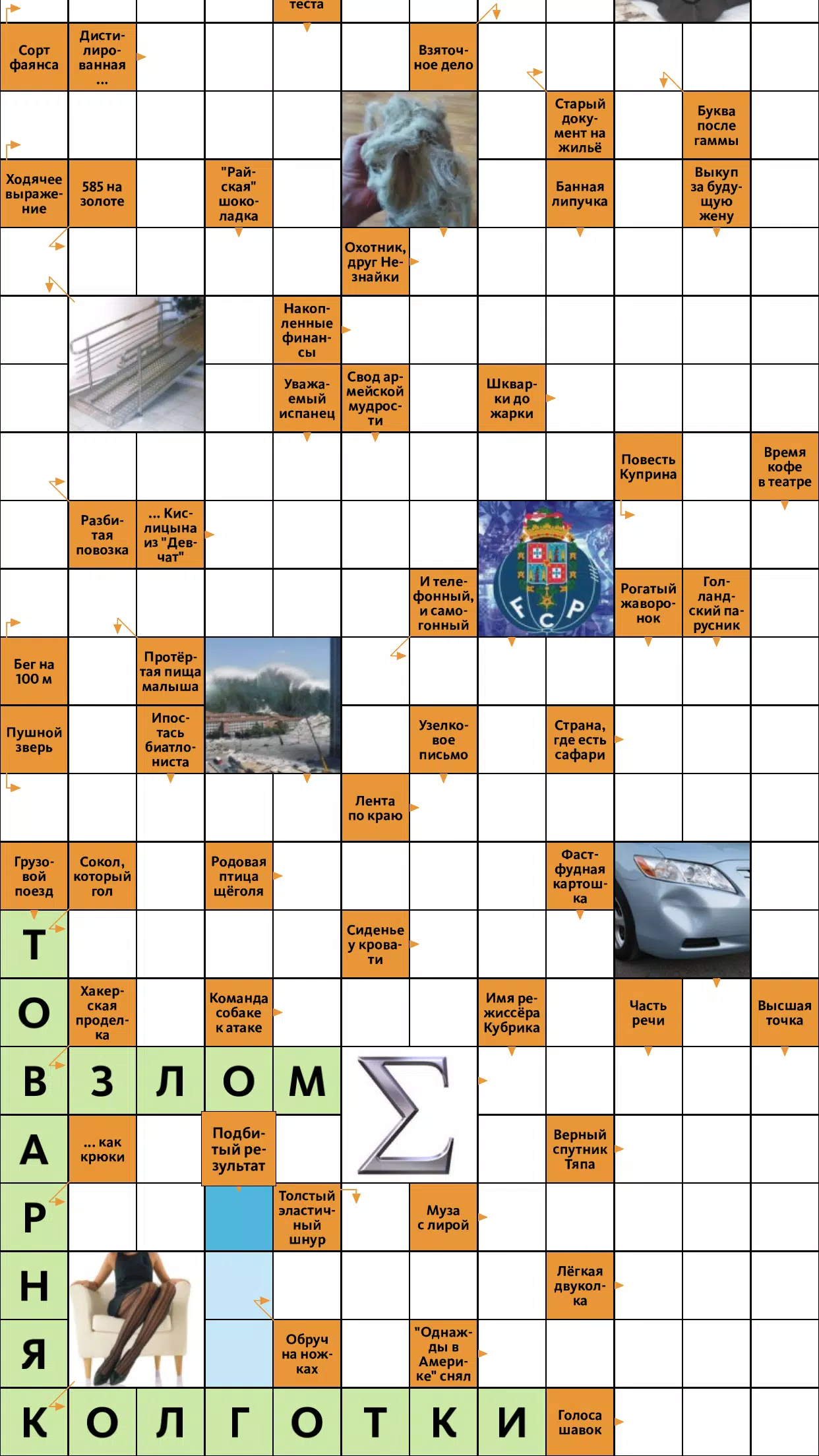 Schermata Сканворд.ру журнал 0