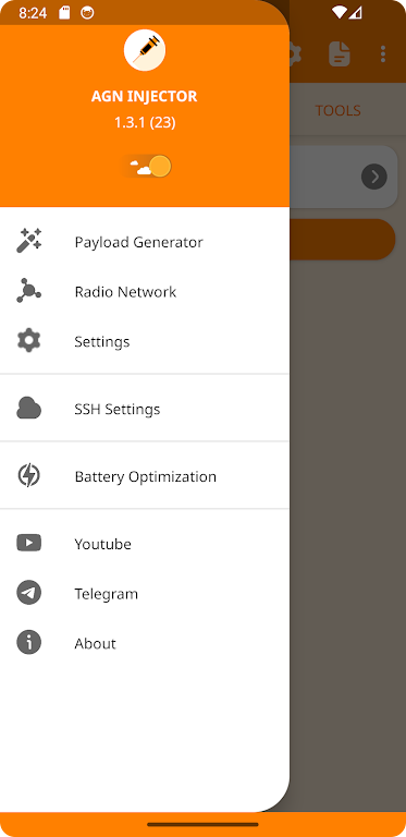 AGN INJECTOR (SSH/DNS/SSL) VPN 스크린샷 2
