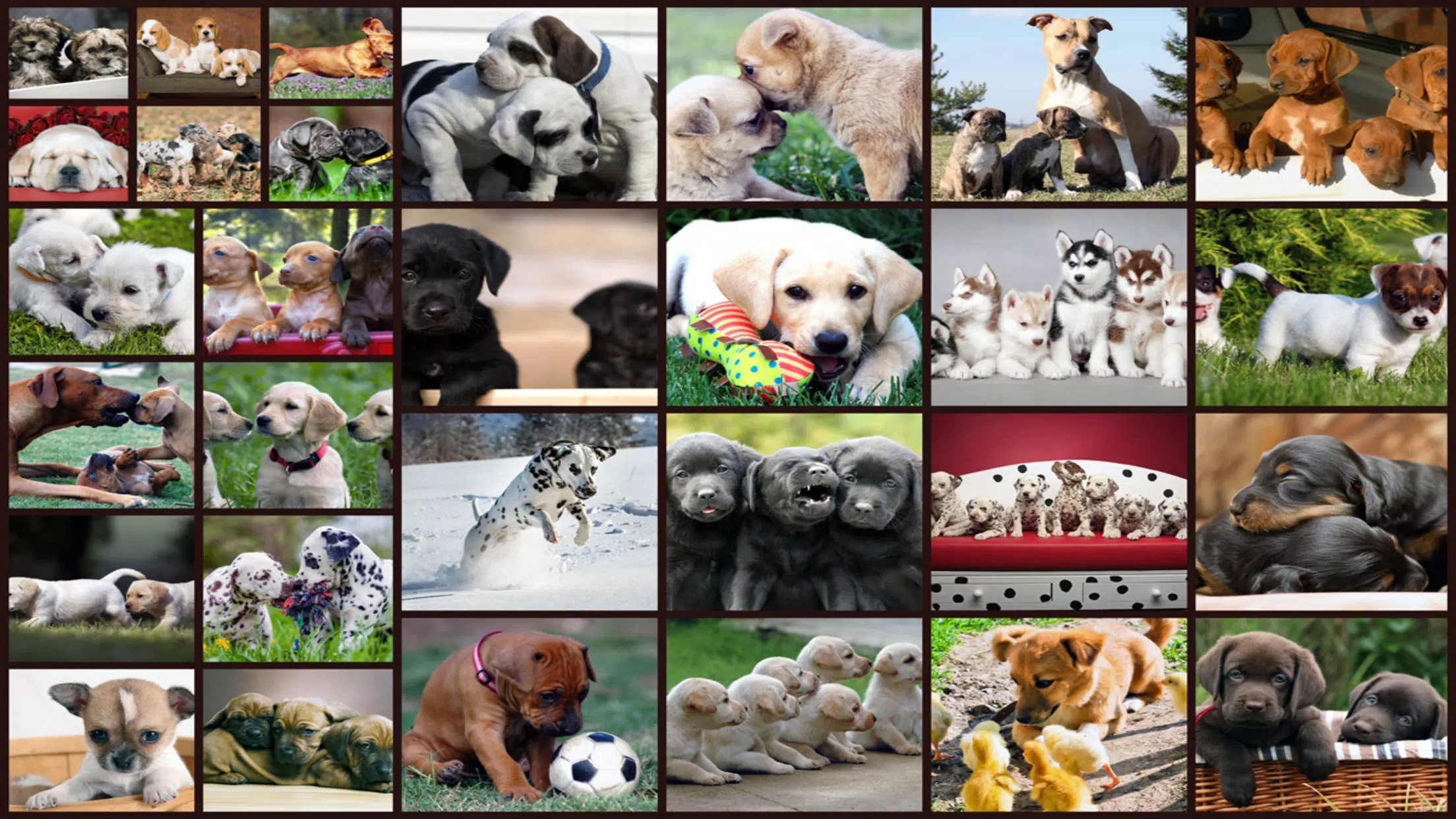 Puzzle Games Dogs Jigsaw ภาพหน้าจอ 0
