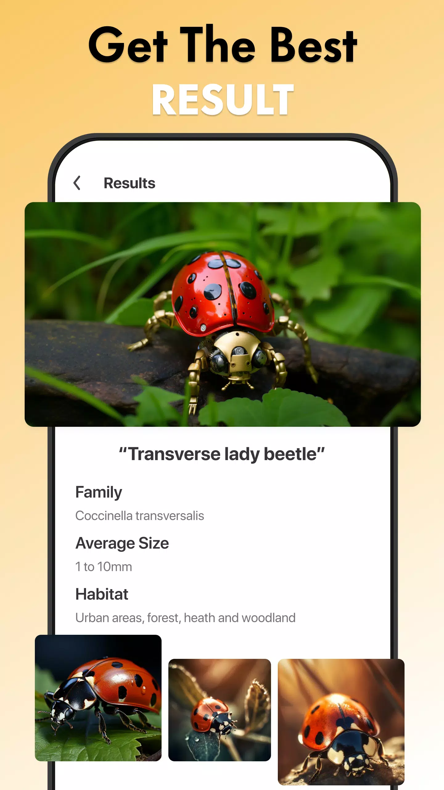 Insect Identifier Bug Identify Capture d'écran 2