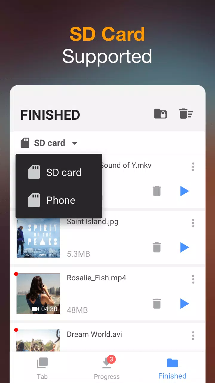 Téléchargeur de Vidéo Capture d'écran 3