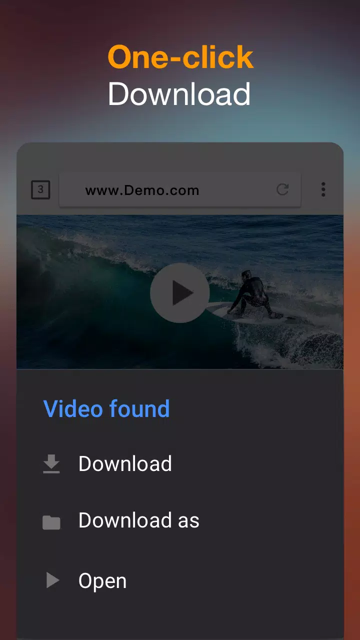 Téléchargeur de Vidéo Capture d'écran 0