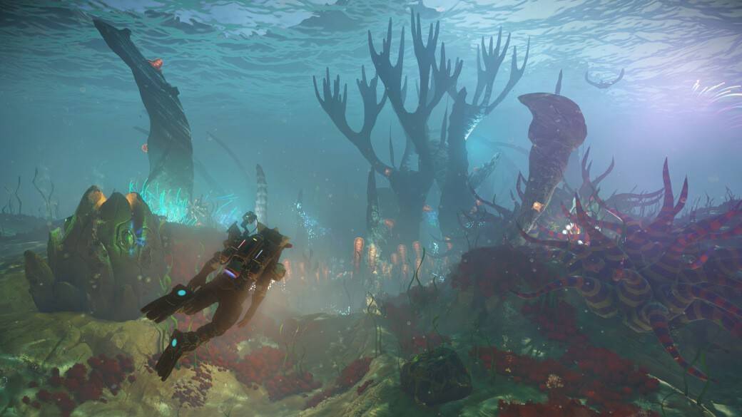 Profondeurs mystérieuses