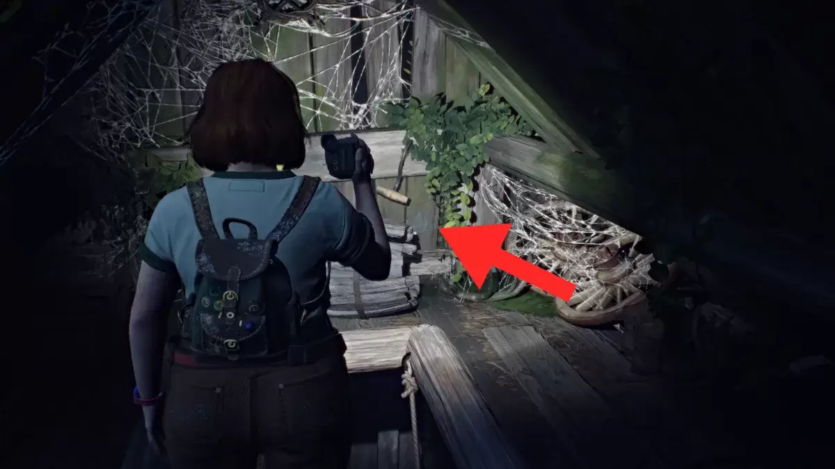 月球符号失落的记录盛开和愤怒