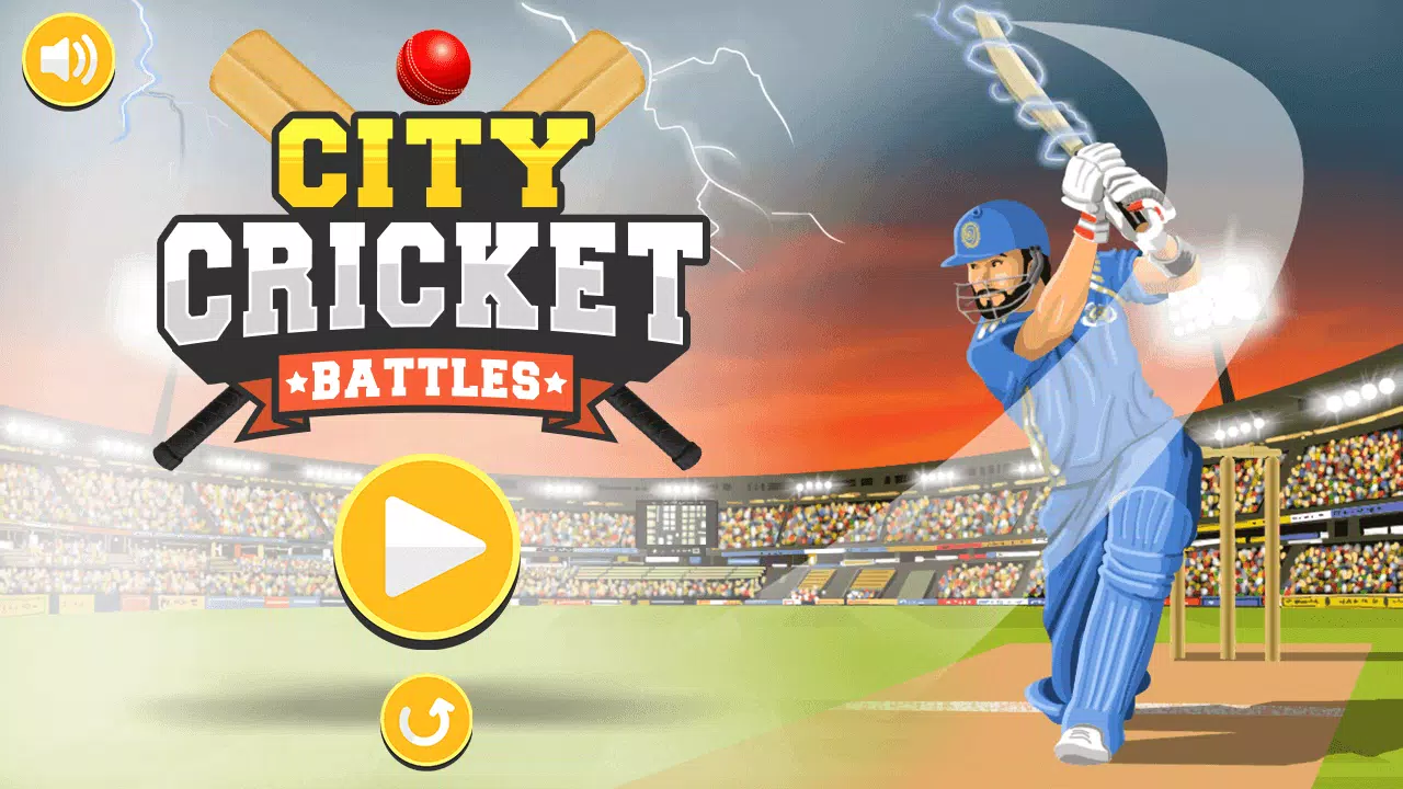 City Cricket Game 螢幕截圖 3