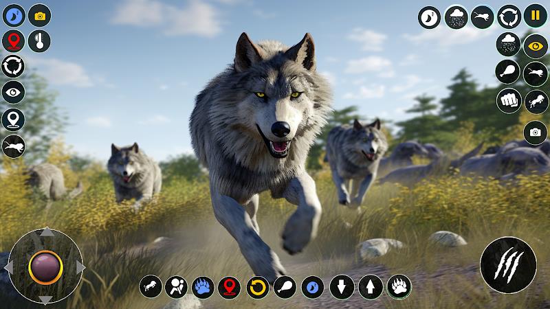 Wolf Simulator: Wild Wolf Game 螢幕截圖 2