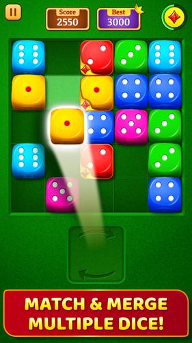 Dice Puzzle ภาพหน้าจอ 0